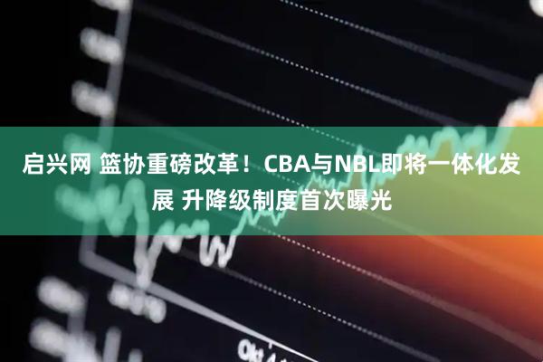 启兴网 篮协重磅改革！CBA与NBL即将一体化发展 升降级制度首次曝光